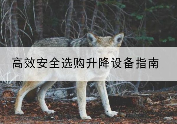 革吉升降货梯厂家推荐-*安全选购升降设备指南