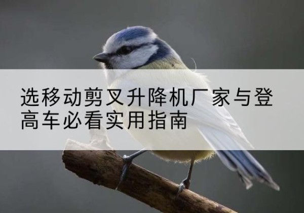 革吉电动升降机厂家-选移动剪叉升降机厂家与登高车必看实用指南