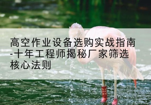 革吉剪叉式升降机厂家-高空作业设备选购实战指南-十年工程师揭秘厂家筛选核心法则